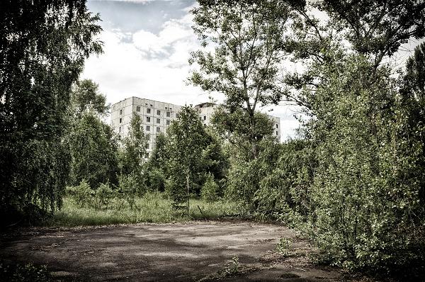 Cháy Rừng Ở Chernobyl, Mức Phóng Xạ Tăng Đột Biến