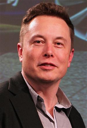 Xe Điện Tesla Sẽ Có Thể Tự Trông Thú Cưng