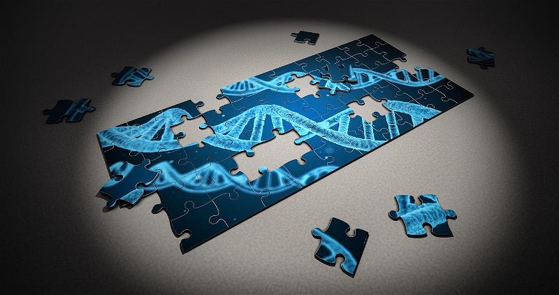 Công Nghệ CRISPR Có Thể Tiềm Ẩn Tác Dụng Phụ 