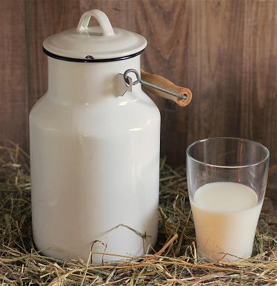 Công Ty Sữa Lớn Nhất Mỹ Nộp Đơn Xin Phá Sản
