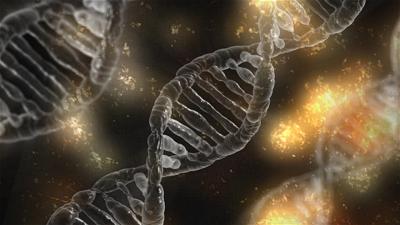 Công Cụ Chỉnh Sửa Gen CRISPR Chuẩn Bị Được Áp Dụng