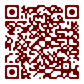 Drone Va Chạm Với Máy Bay Ở Khu Vực Sân Bay Jean Lesage, Canada